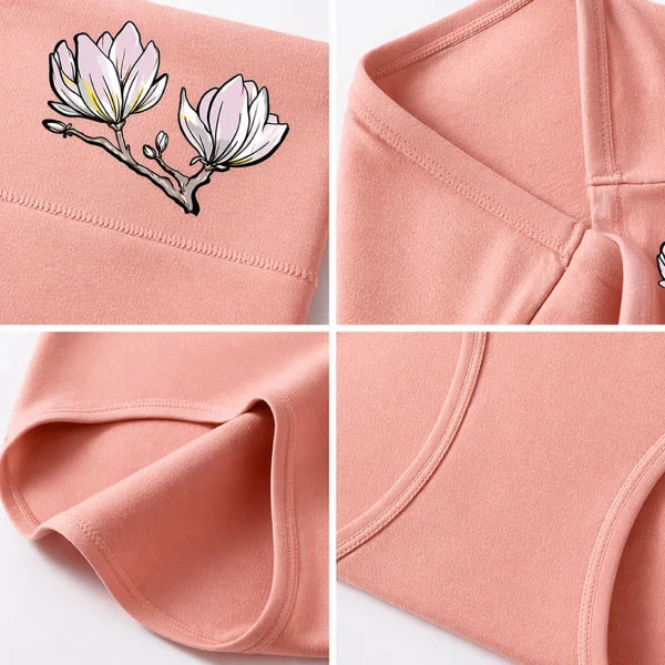 Set 5 Slip in Cotone a Vita Alta: comfort tutti i giorni, senza compromessi