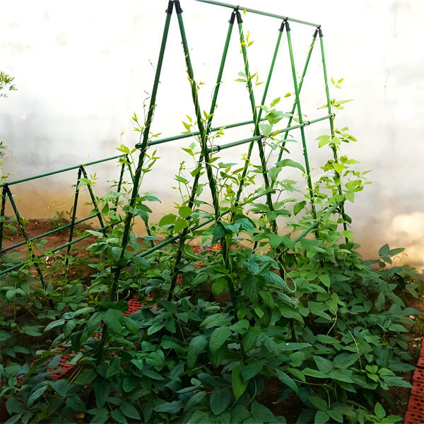 Supporto da Giardino Regolabile: sostiene ogni pianta, senza piegarsi
