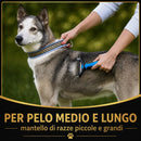 Spazzola Sottopelo Doppia Faccia: nodi sciolti e peli sotto controllo, senza stress per il pet