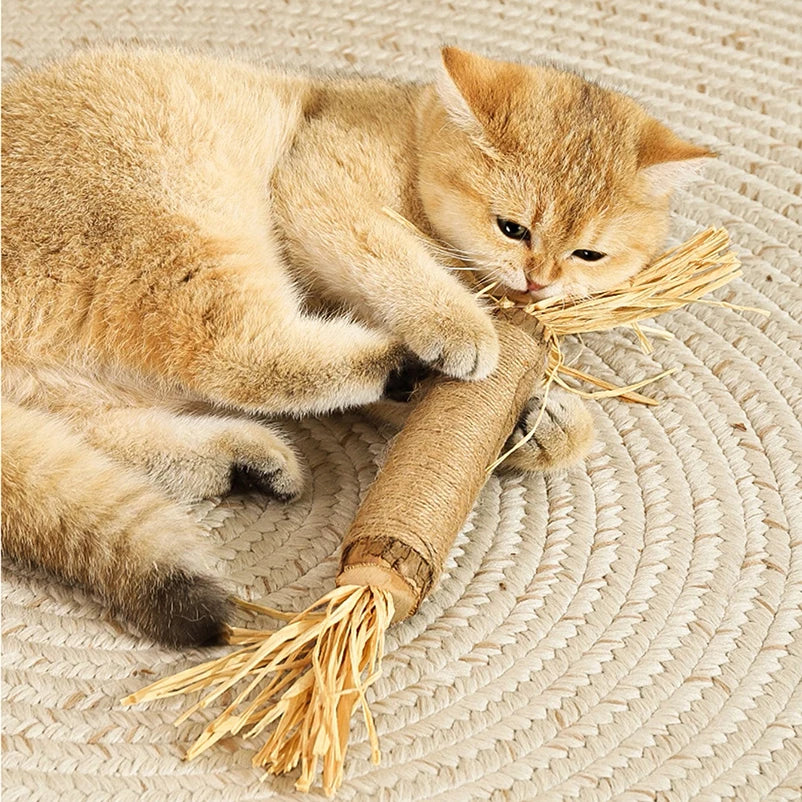Bastoncini Matatabi Naturali: soddisfa l'istinto del tuo gatto, protegge la casa 5 pezzi in un set