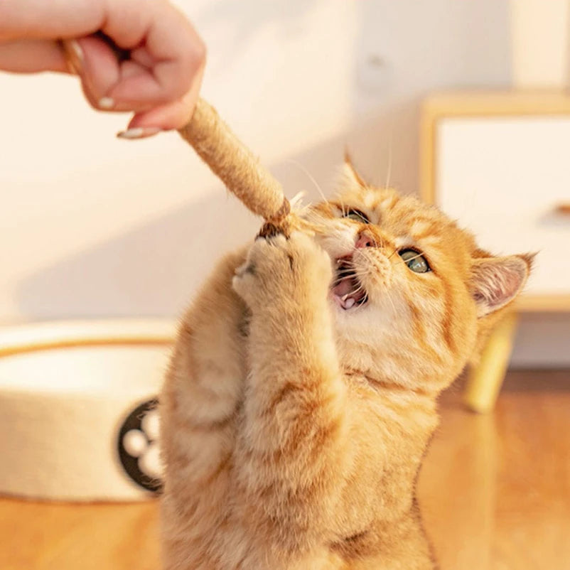 Bastoncini Matatabi Naturali: soddisfa l'istinto del tuo gatto, protegge la casa 5 pezzi in un set