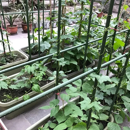 Supporto da Giardino Regolabile: sostiene ogni pianta, senza piegarsi