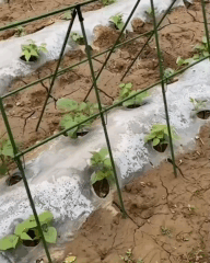Supporto da Giardino Regolabile: sostiene ogni pianta, senza piegarsi