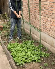 Supporto da Giardino Regolabile: sostiene ogni pianta, senza piegarsi