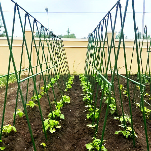 Supporto da Giardino Regolabile: sostiene ogni pianta, senza piegarsi