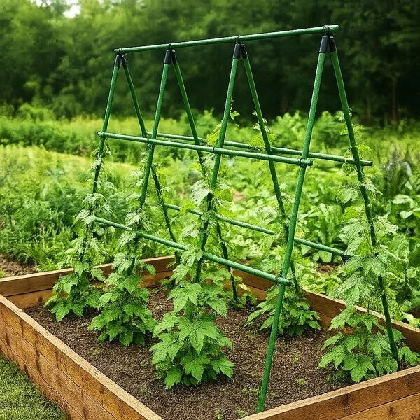 Supporto da Giardino Regolabile: sostiene ogni pianta, senza piegarsi
