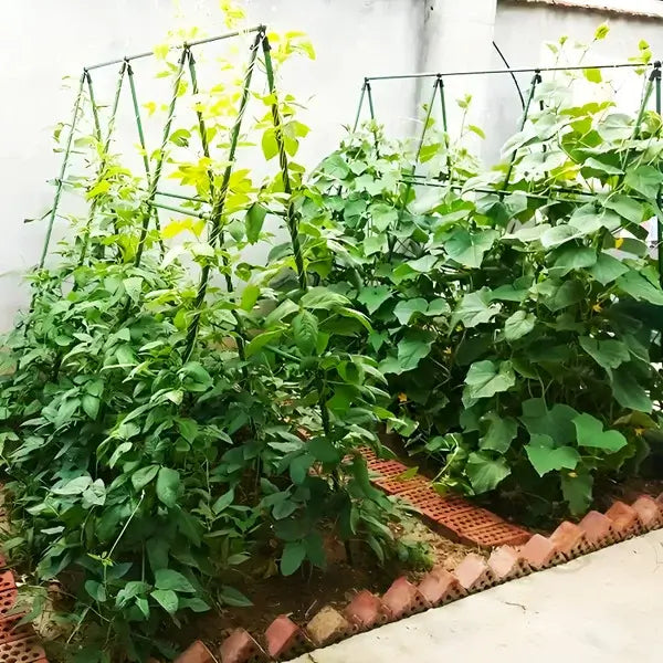 Supporto da Giardino Regolabile: sostiene ogni pianta, senza piegarsi
