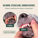 PuroDente: denti puliti e alito fresco, senza spazzolino