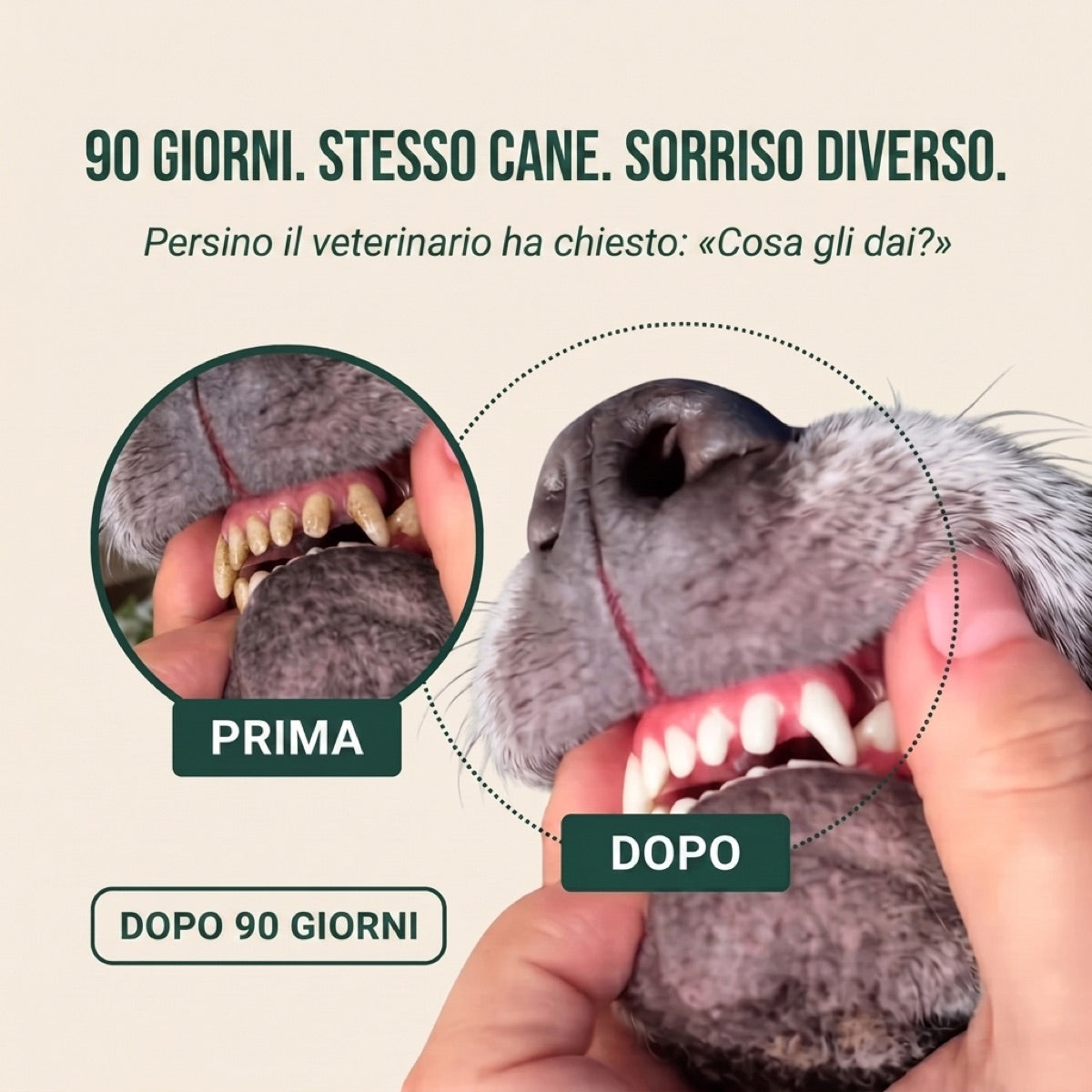 PuroDente: denti puliti e alito fresco, senza spazzolino