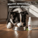 PuroDente: denti puliti e alito fresco, senza spazzolino
