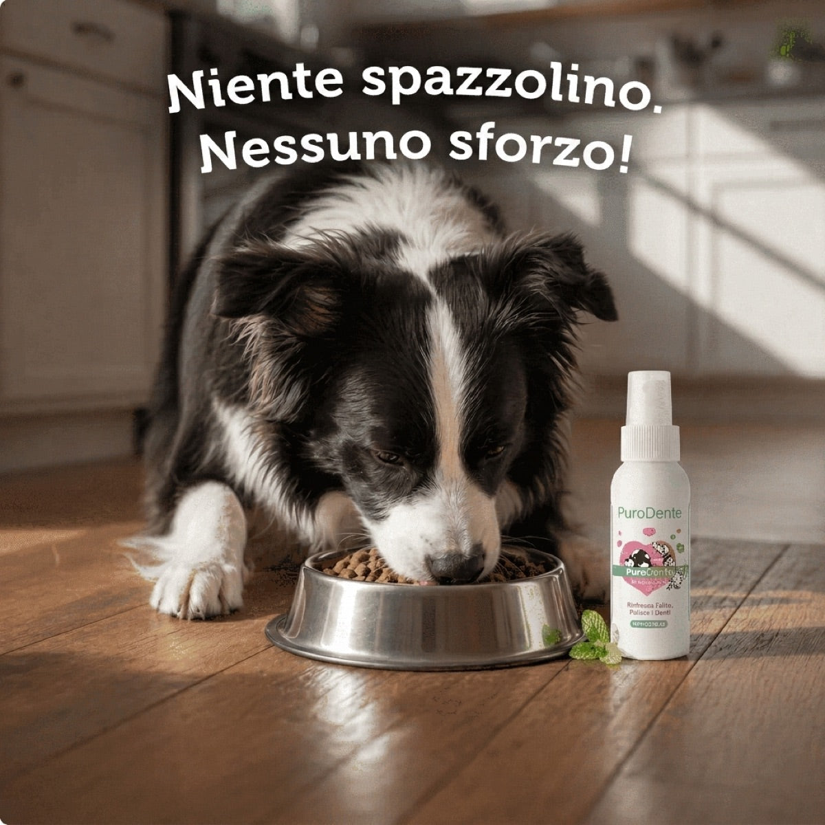 PuroDente: denti puliti e alito fresco, senza spazzolino