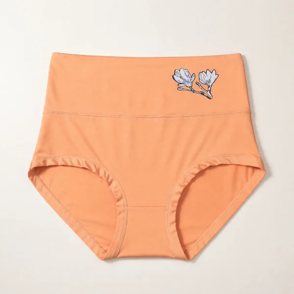 Set 5 Slip in Cotone a Vita Alta: comfort tutti i giorni, senza compromessi